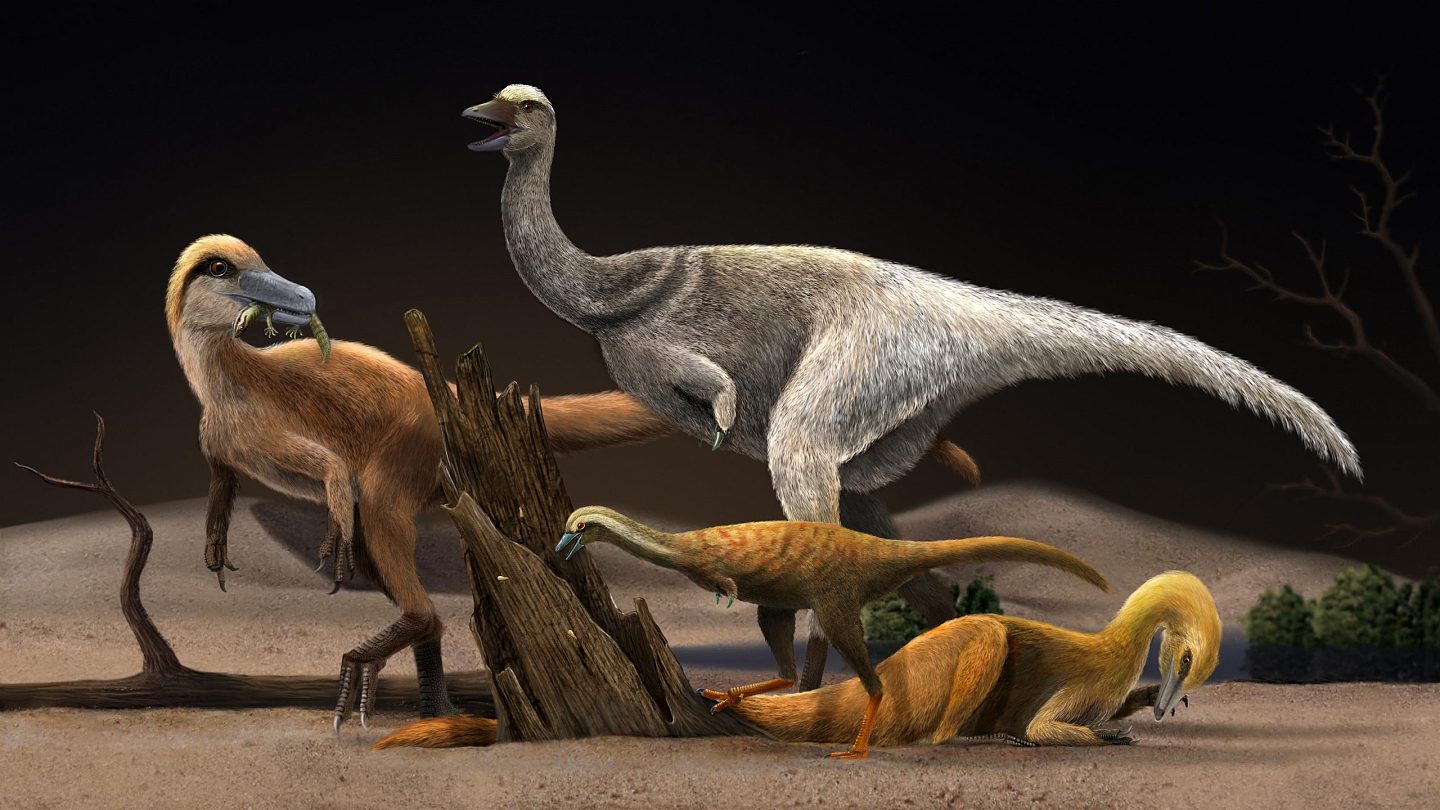 不寻常的恐龙迅速缩小到鸡的大小 因为它们食性大变 - 1
