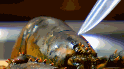 英国名厨戈登·拉姆齐演示快速切断龙虾神经的方法 视频截图