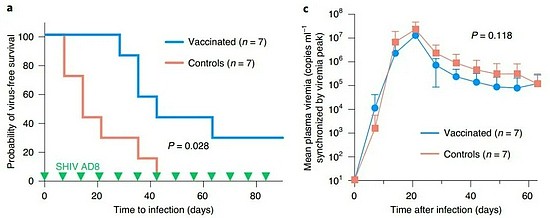《自然-医学》：mRNA疫苗的新方向 新型抗艾滋疫苗可降低79%感染风险 - 4