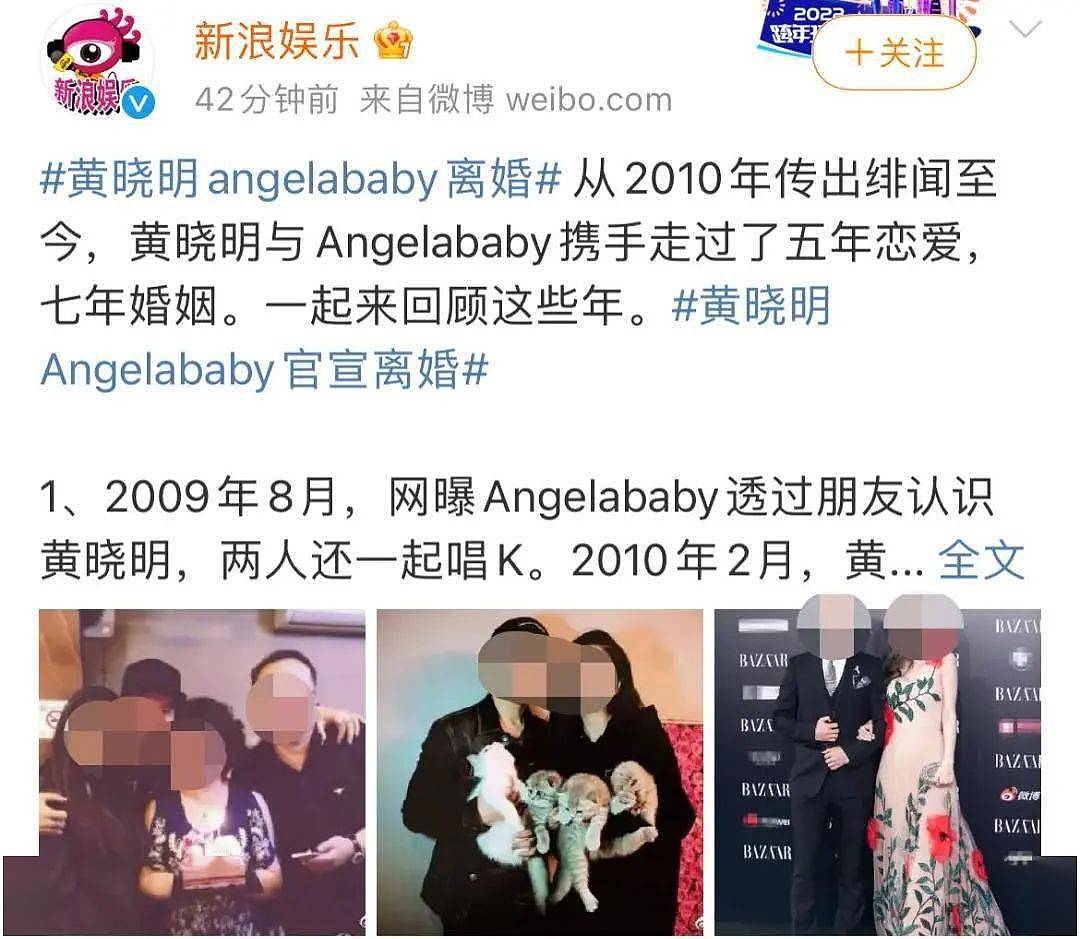 黄晓明baby离婚？他们养的折耳猫咋办？ - 2