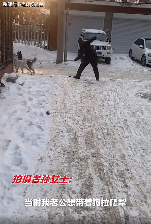 吉林珲春：男子雪天出门遛狗，反被哈士奇拖着跑，这遛狗多少有点费人 - 2