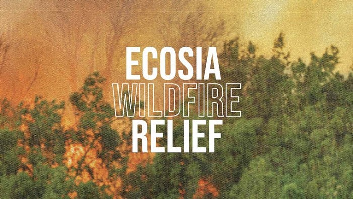 1626992824_ecosia-wildfire-california-australia-brazil_story.jpg
