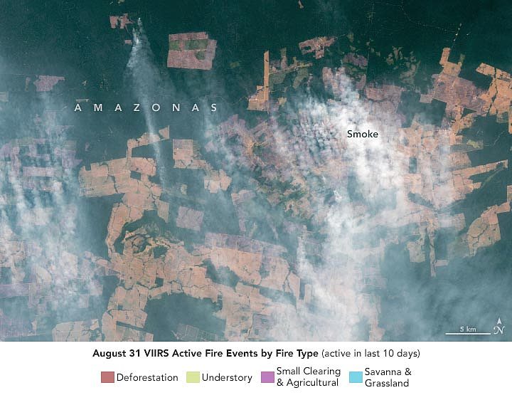 研究：亚马逊西部烟雾弥漫的天空主要是由森林砍伐引起的火灾产生 - 1