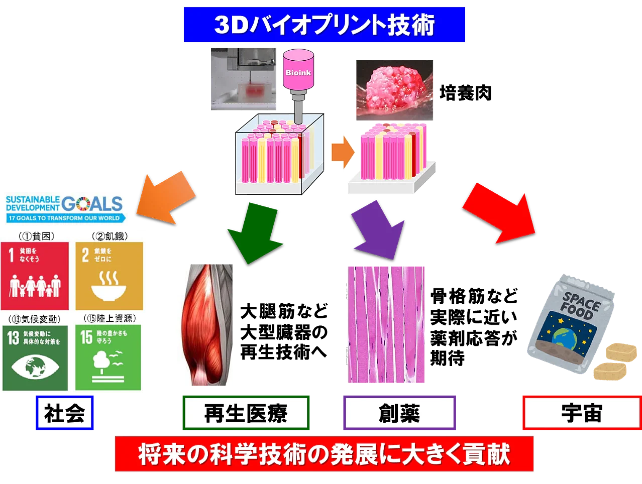 大阪大学和岛津制作所研发出利用3D打印机制造“培养肉”的技术 - 3