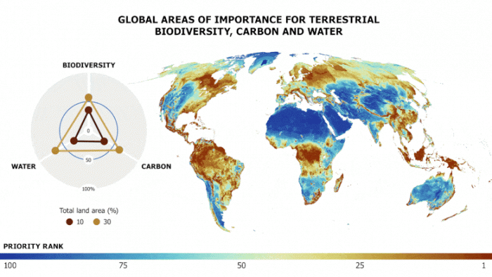 Global-Priority-Maps.gif