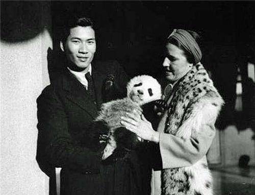 84年前，那个2次将熊猫从中国偷走的美国女人露丝，最后结局凄凉 - 2