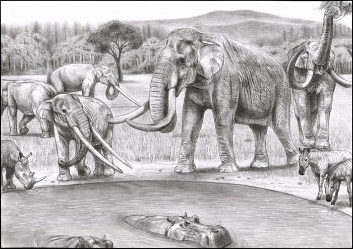 Global-Climate-Dynamics-Drove-the-Decline-of-Mastodonts-and-Elephants-777x548.jpg