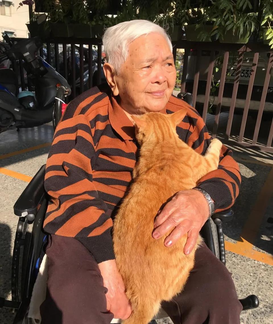 93岁奶奶靠轮椅代步终日厌世，遇橘猫后性格转变，全家都感谢它 - 8