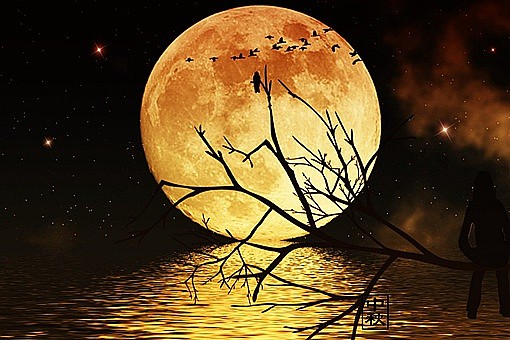 千里共婵娟和露似真珠月似弓哪句诗词描写的是中秋的月亮 - 1