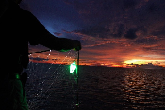 Illuminated-Fishing-Net-2048x1365.jpg