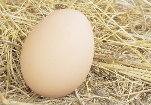 脸过敏可以吃鸡蛋吗 过敏的饮食禁忌 - 1
