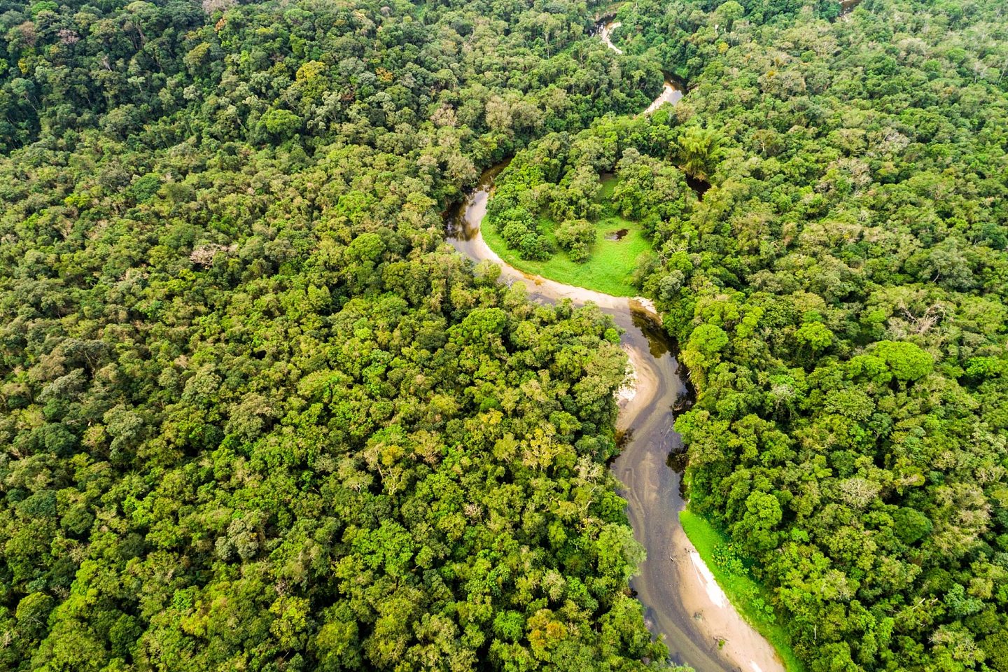 亚马逊地区各国在森林砍伐率和恢复方面存在巨大差异 - 1