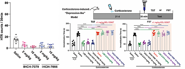 分子细胞卓越中心等以结构为导向改造致幻剂以治疗抑郁症 - 8