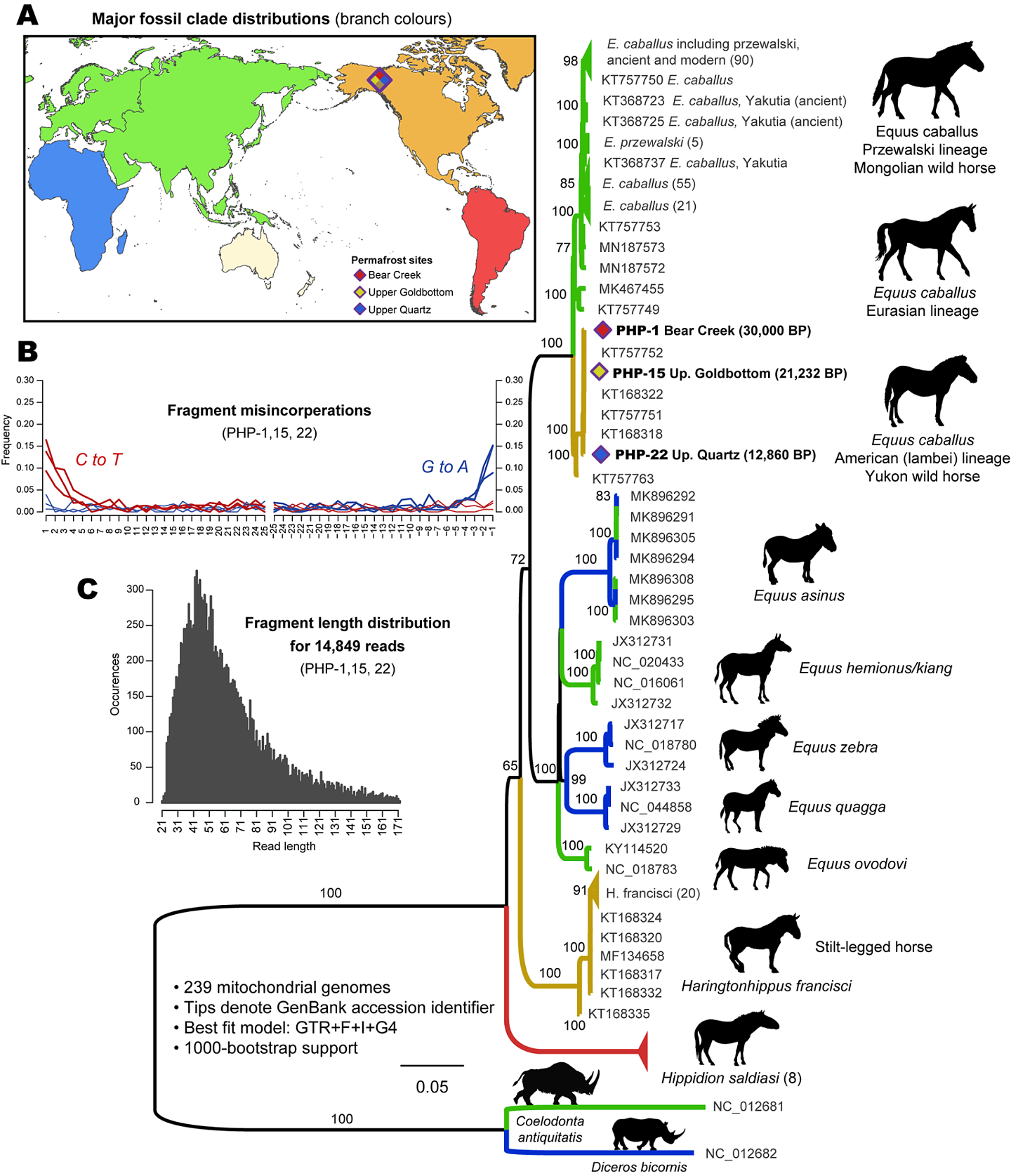 古代DNA表明猛犸象在地球存活的时间比人们想象的更晚 - 3
