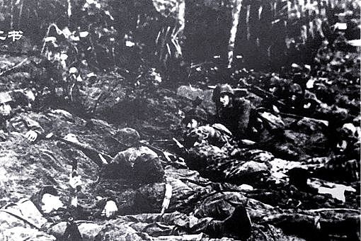 布干维尔岛战役美军为什么不歼灭日军 - 1