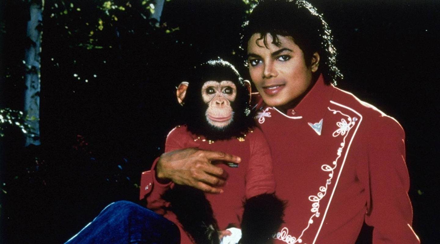 迈克尔·杰克逊的宠物猩猩泡泡健康状况良好，在动物中心安享晚年 - 1