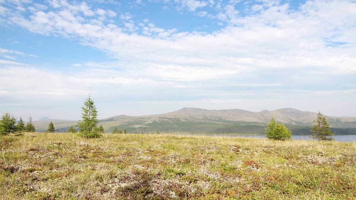 研究显示西伯利亚苔原可能会在本世纪中叶消失 - 5