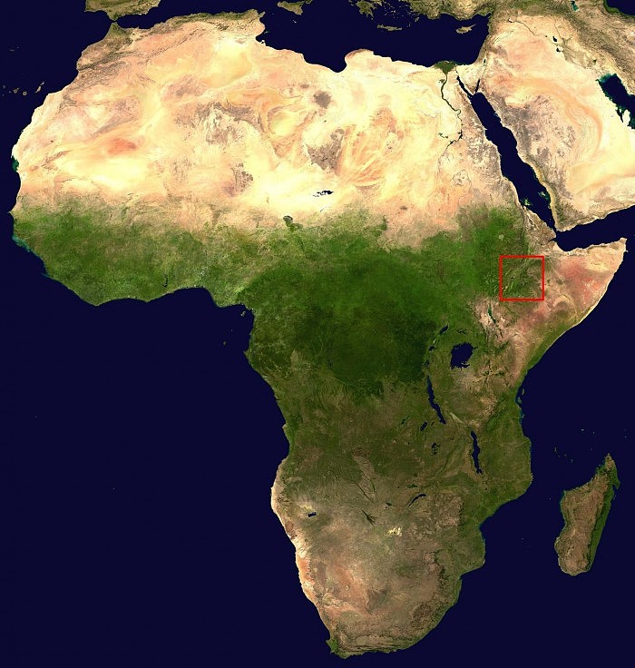 研究显示非洲东部最早的人类遗骸可追溯到23万多年前 - 2