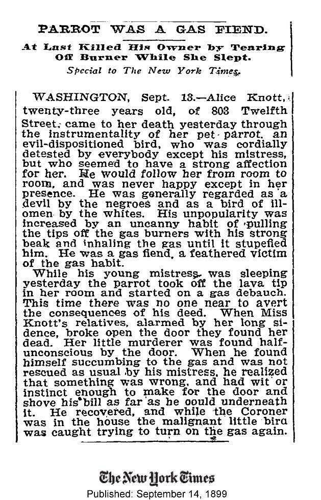 历史上的奇葩案件：1899年纽约，一只鹦鹉“杀了”一位富家小姐 - 5