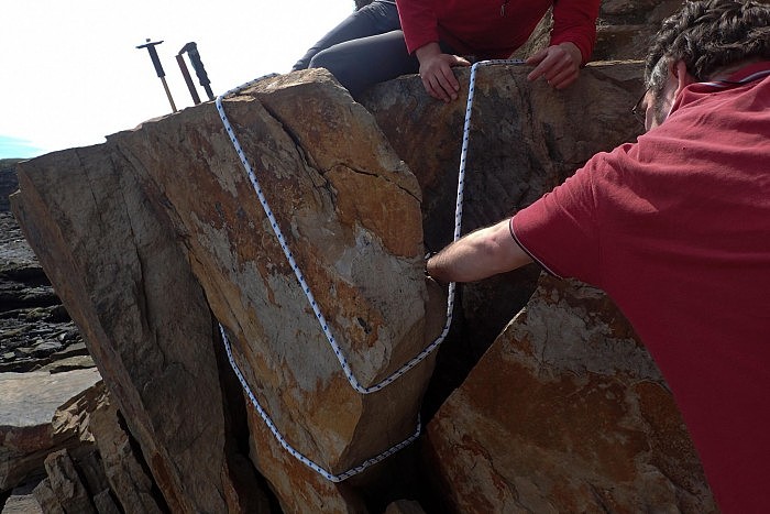 英格兰北部海滩发现有史以来最大的巨型千足虫化石 - 3
