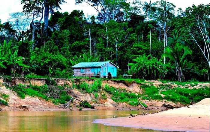 Brazillian-Amazonia-777x491.jpg