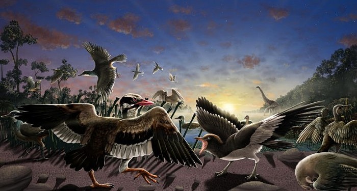 Newly-Discovered-Fossil-Birds-777x416.jpg