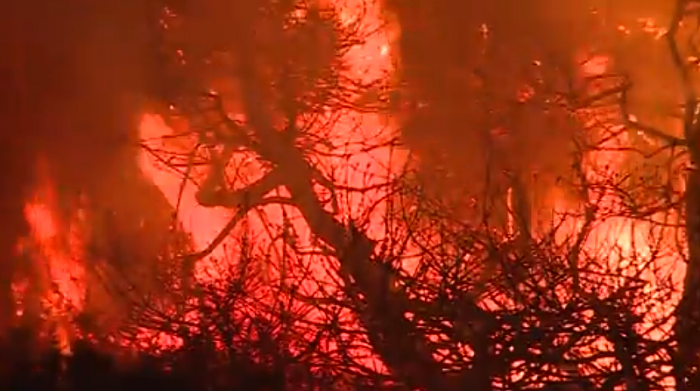 美国加州山火已蔓延至超过607万平方米的土地 - 2
