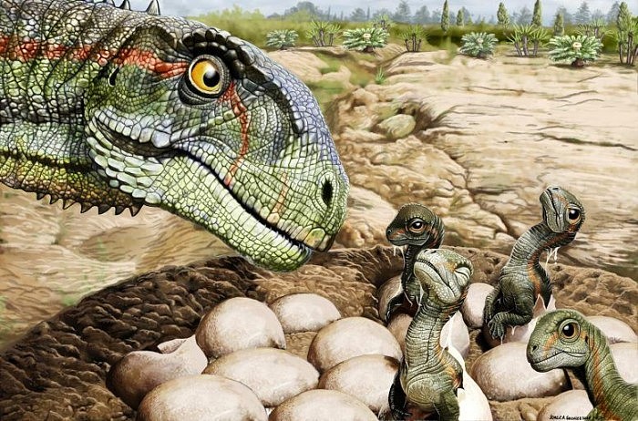 科学发现早期的恐龙是社会性的，并在群居中生活 - 1
