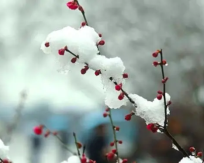 大雪的诗篇：描绘冬日韵味的文学之作 - 1
