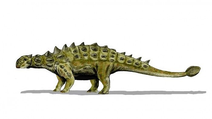 ankylosaur-dinoause-bizzare-armor-unique-details-1280x720.jpg