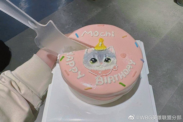 WBG分享Xiaohu宠物麻薯生日返图：是一岁生日的快乐小猫咪! - 6