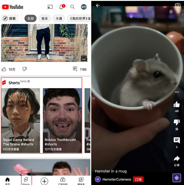 “围剿”TikTok 谷歌给出了YouTube Shorts的短视频答卷 - 3