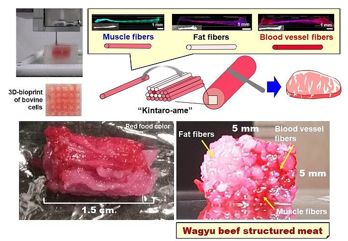 3d-printed-wagyu-insert.jpg