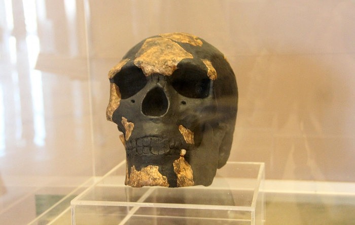 研究显示非洲东部最早的人类遗骸可追溯到23万多年前 - 5