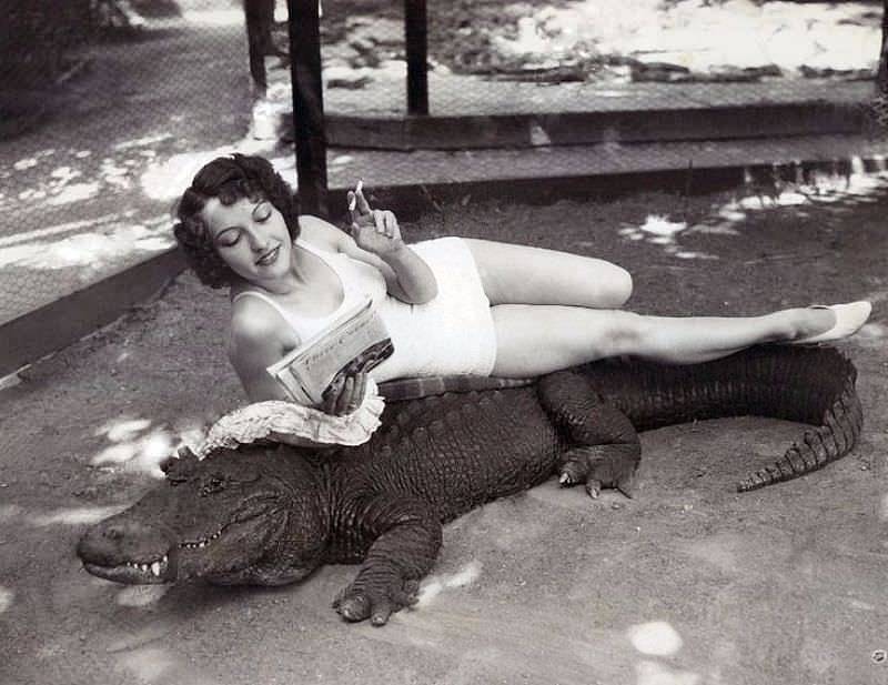 旧影拾记：20世纪老照片，美国人把鳄鱼当宠物，玩弄于股掌之中 - 1