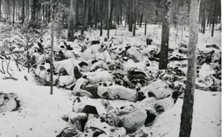 芬兰在二战中的复杂角色：协助轴心国作战却未受处罚的真相 - 1