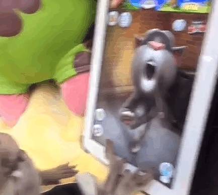 猴子偷拿手机玩游戏，看着里面活灵活现的猫咪，猴子爆发了 - 1