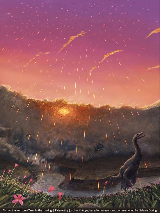 小行星掉在春天：《自然》揭示恐龙时代终结的季节 - 2