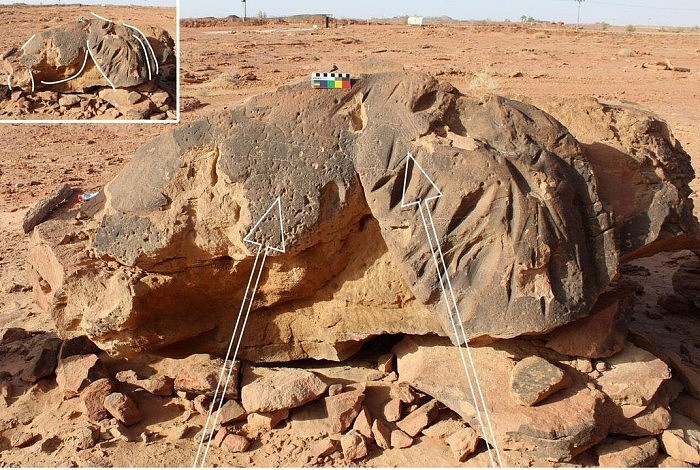 比巨石阵还早 沙特阿拉伯北部的骆驼遗址可追溯到7000-8000年前 - 2