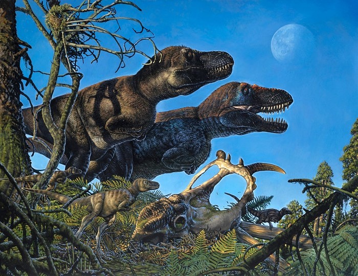 研究小组在北极地区发现幼年恐龙遗迹 显示恐龙可能是温血动物 - 1