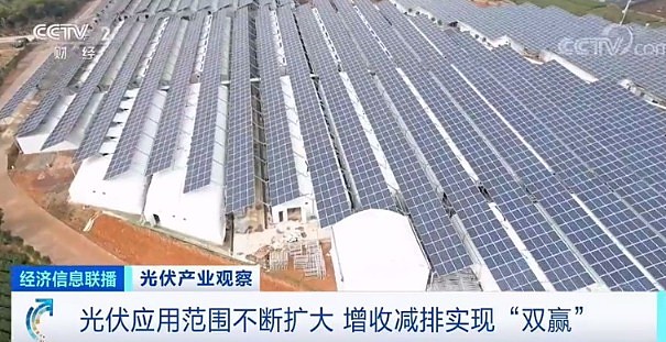 光伏组件成本均降10% 中国光伏发电量全球增长最快 - 10