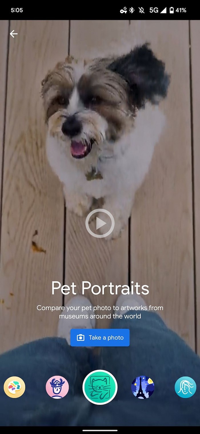 Google Arts & Culture新增Pet Portraits功能：宠物照可匹配艺术品 - 1