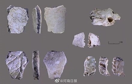 在河南发现3.2万年前的人类头骨化石 这究竟意味着什么？ - 4