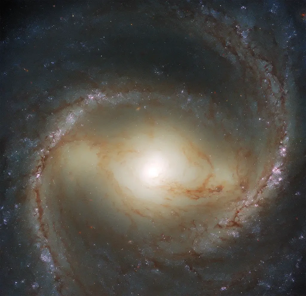 Spiral-Galaxy-M91.webp