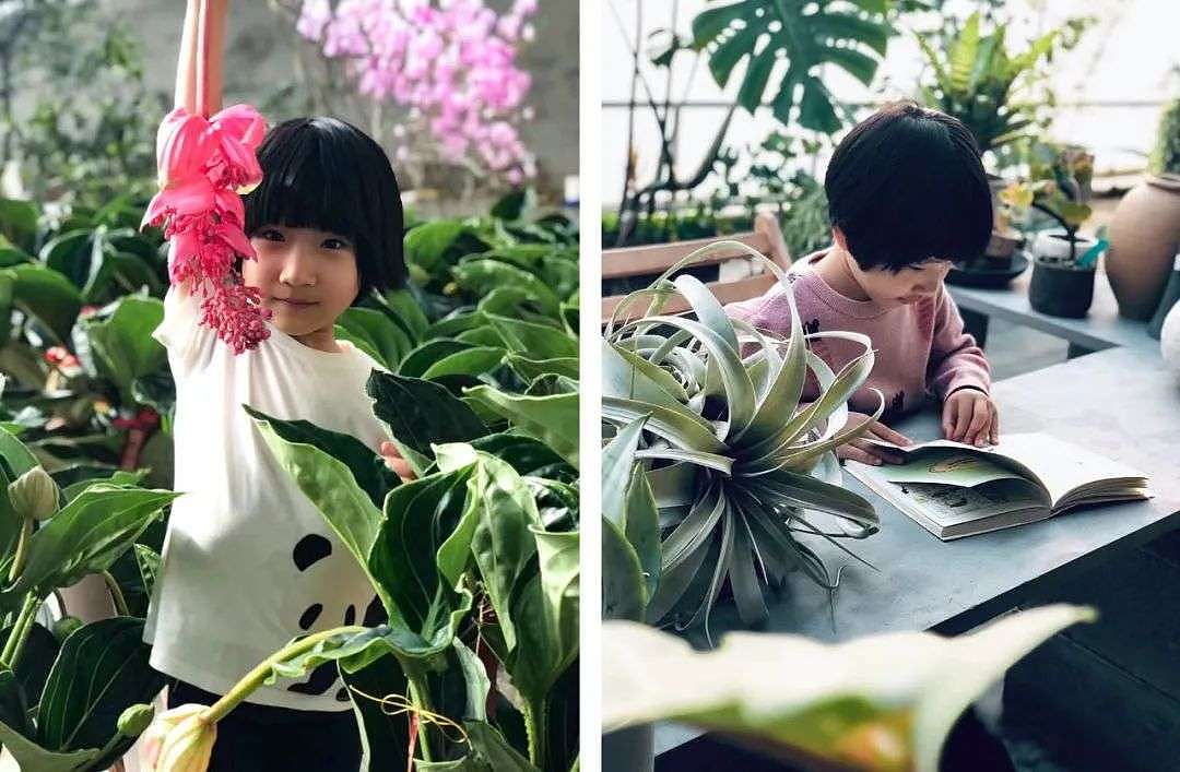 北京夫妻两年无收入，造1500㎡植物园：跟一草一木学做人 - 40