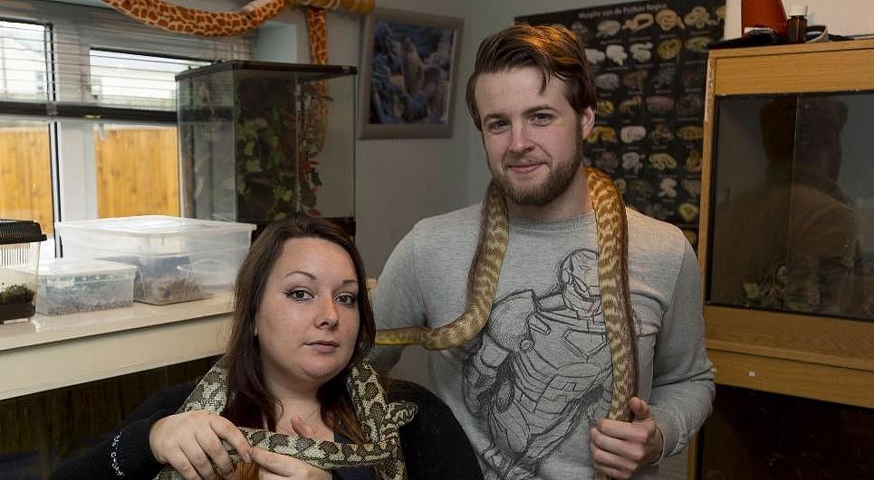 英国24岁女子家里养着60只动物，家中里蛇蜘蛛浣熊和睦相处 - 2