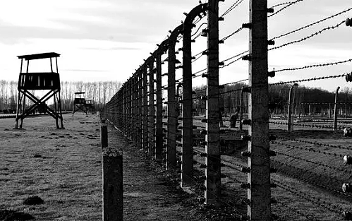奥斯维辛集中营：纳粹德国的黑暗印记 - 1