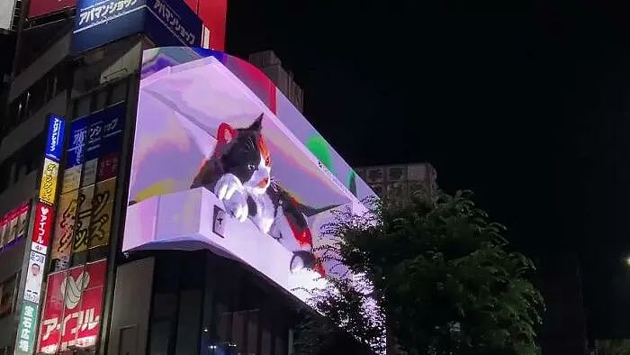 巨型喵星人亮相闹市街头，这只电子屏上的3D猫咪化身成热门景点 - 6