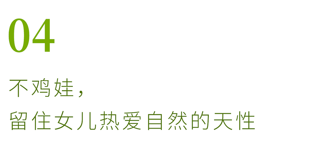 北京夫妻两年无收入，造1500㎡植物园：跟一草一木学做人 - 39