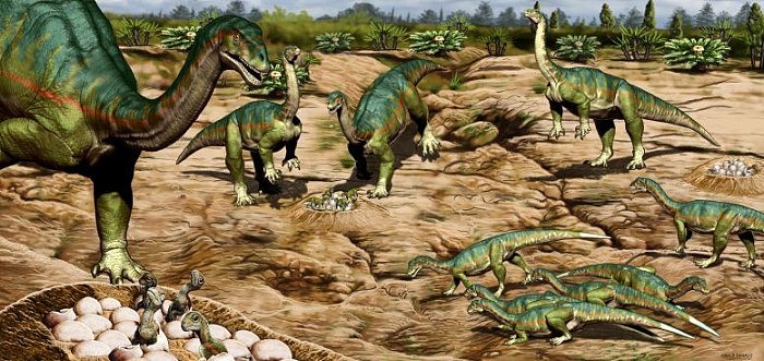 科学发现早期的恐龙是社会性的，并在群居中生活 - 4